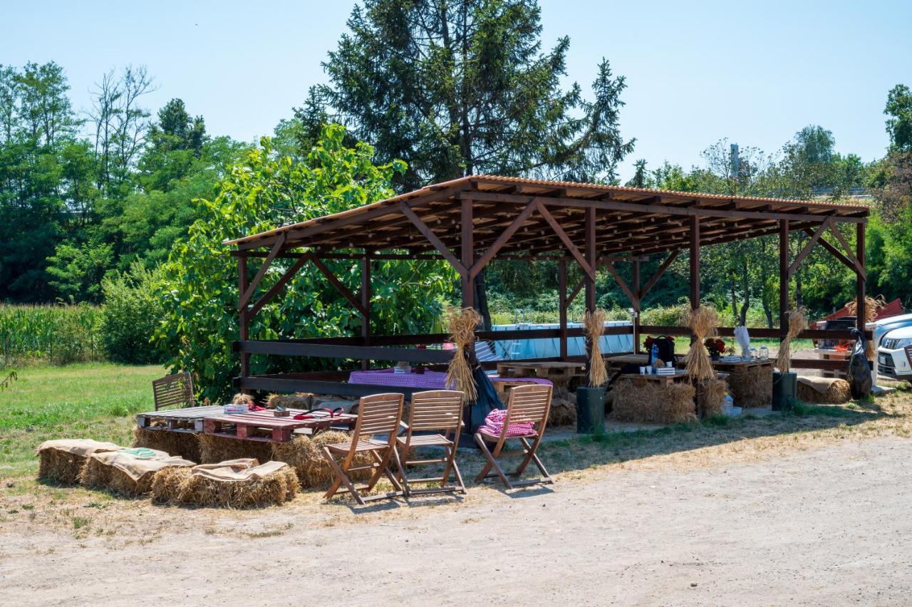 Farm stay Why Farm *